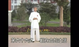 杨式太极拳85式视频,传承经典，动静相宜的养生之道