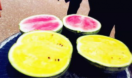 海宁吃瓜爆料公司地址,地址曝光，带你一探究竟